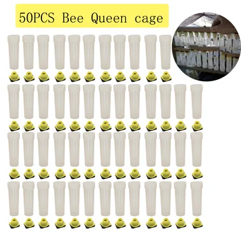 50PCS Nicot Bee Vlasy Navi Kráľovná Klietky, Plastové Utesnené Ochranné Bunky Kryt Klietky Box Pohár Chov Včiel Nástroje Včelárskych Dodávky
