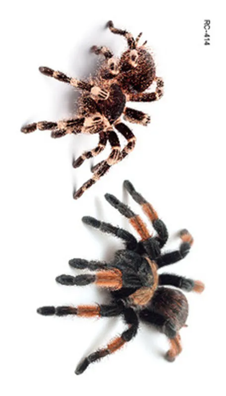 Veľkoobchodný Predaj Hot 3D Spider Tetovanie Škorpióna, Dočasné Tetovanie Samolepky Pre Ženy A Mužov Na Halloween Falošné Tetovanie Body Art Vtip0
